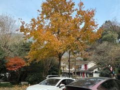 -马灯部落·西湖边的创意山景餐厅(虎跑动物园店)