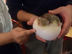 -永安鱼庄·镇江菜(丁卯店)