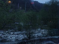 -朱雀国家森林公园