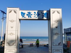 -贝壳沙滩