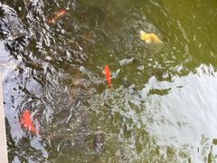 -济南大明湖景区