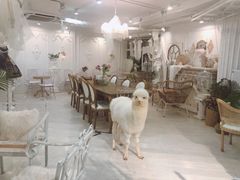 大堂-共舞时光猫咖·狗咖(新街口店)