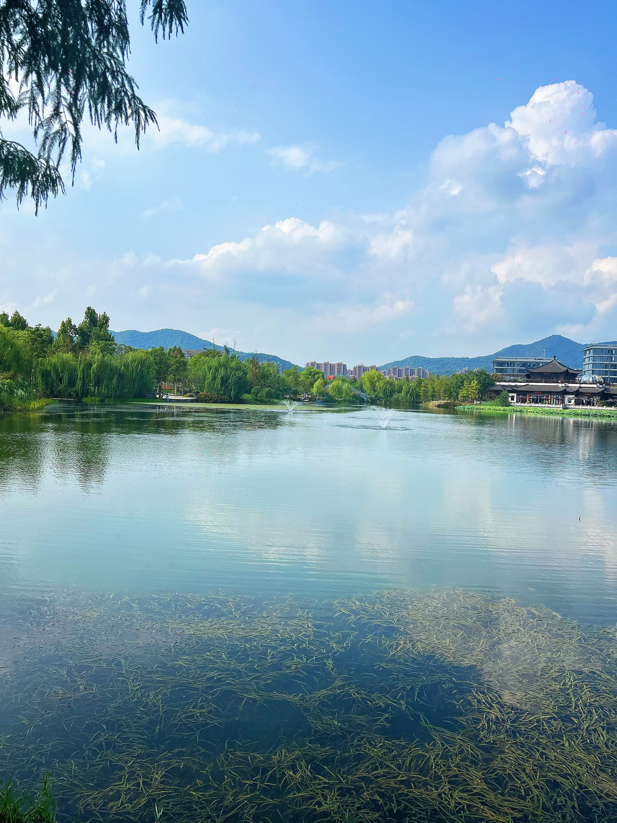 高州湖光山色图片