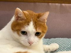 -嘉馨宠物医院·CT影像转诊·心脏科·犬猫全科诊疗中心(下沙大学城院区)