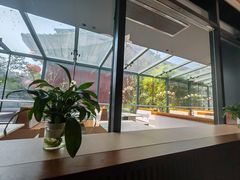 -唐猫庭院·千年陕菜(大唐不夜城店)