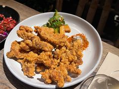 酥肉-毛辣果·酸