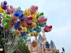 -上海迪士尼度假区