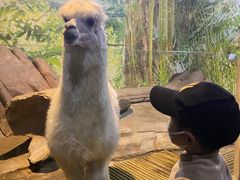 -苏州海洋馆