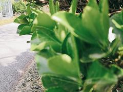 -丰台科技园生态主题公园