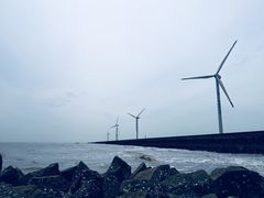 -南汇嘴观海公园