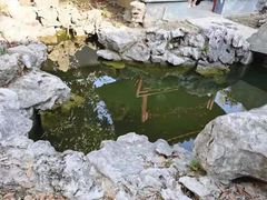 -暖心派对·独栋别墅团建聚会轰趴馆