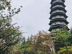 -重庆园博园