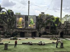 -新加坡飞禽公园