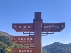 -大姆山草场