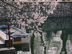 -颐和园
