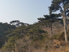 -妙峰山风景名胜区