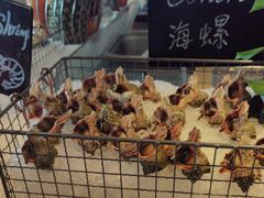 -Social 秀西餐厅-长沙瑞吉酒店(运达店)