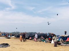 -尼甘布海鲜市场