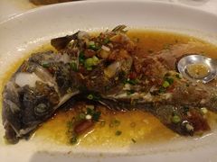 -金鮀岛潮州酒家