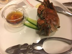 -锦江宾馆-花园餐厅