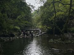 -石台牯牛降景区