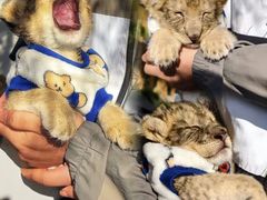 -鄂尔多斯野生动物园