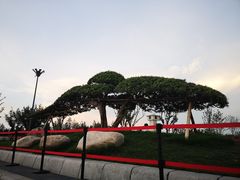 -秦文明广场