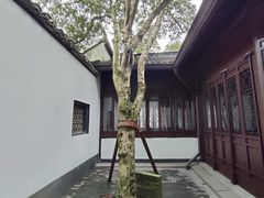 -上海醉白池公园