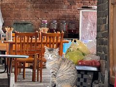 -王万妈卤猪脚(青岩交通路)