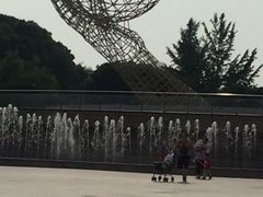 -东方绿舟景区