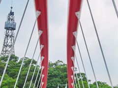 -金鸡山公园