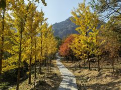 -北京鹫峰国家森林公园