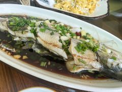 -宾湖农庄·农场特色(太湖龙之梦店)