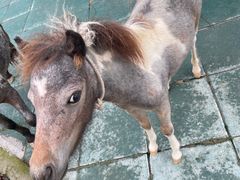 -雪浪山卡丁车俱乐部