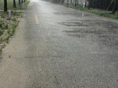 -上海游泳馆(地铁站)