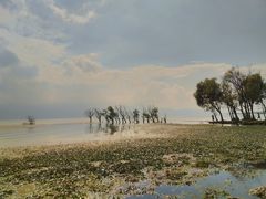 -大理洱海