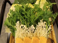 -蝎王府羊蝎子(北大地店)