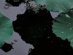 -墅园