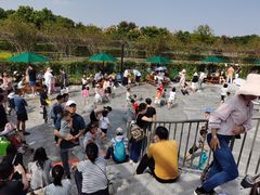 -季高兔窝窝亲子园(上海薰衣草公园店)