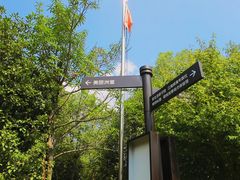 -美丽洲堂
