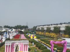 -百万葵园