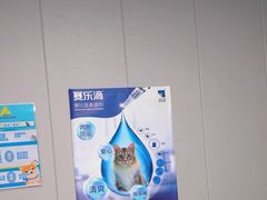 -半岛宠物医院24小时(科华中路店)