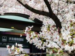 -上海辰山植物园