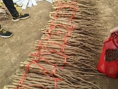 -解家河南菜(商鼎路店)