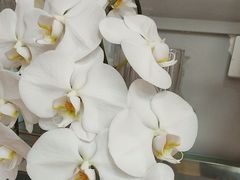 -花心思鲜花店(武昌徐东店)