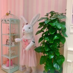 -PinkBaby美甲美睫