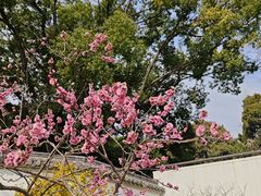 -无锡梅园公园
