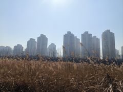 -前关湿地公园