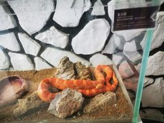 -海合安武汉极地海洋公园