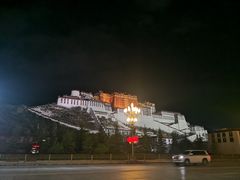 -峰瑞藏地美食·石锅鸡·牦牛肉(大昭寺品牌店)